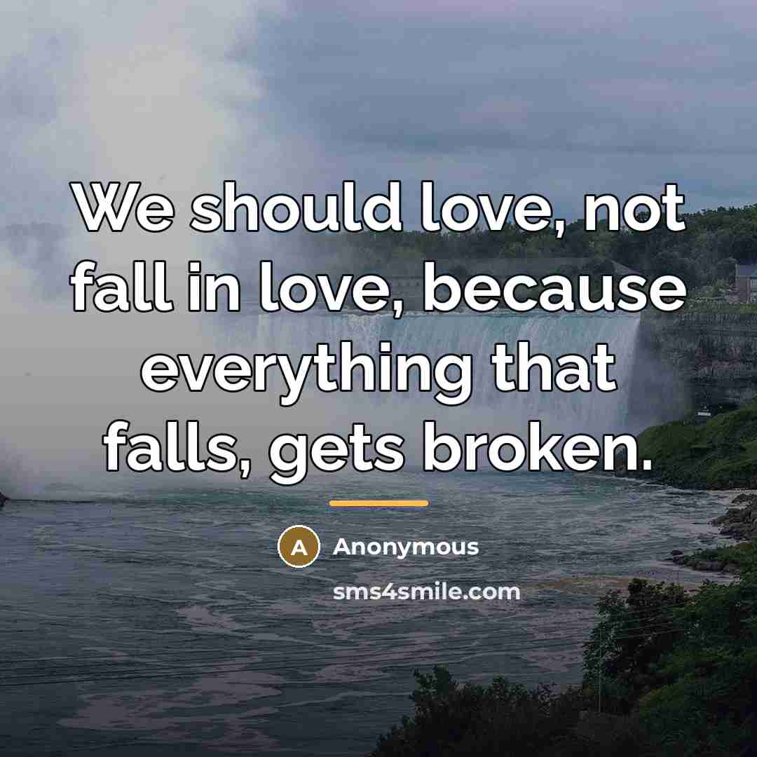 “We should love, not fall in love, because everything that…” quote by Anonymous