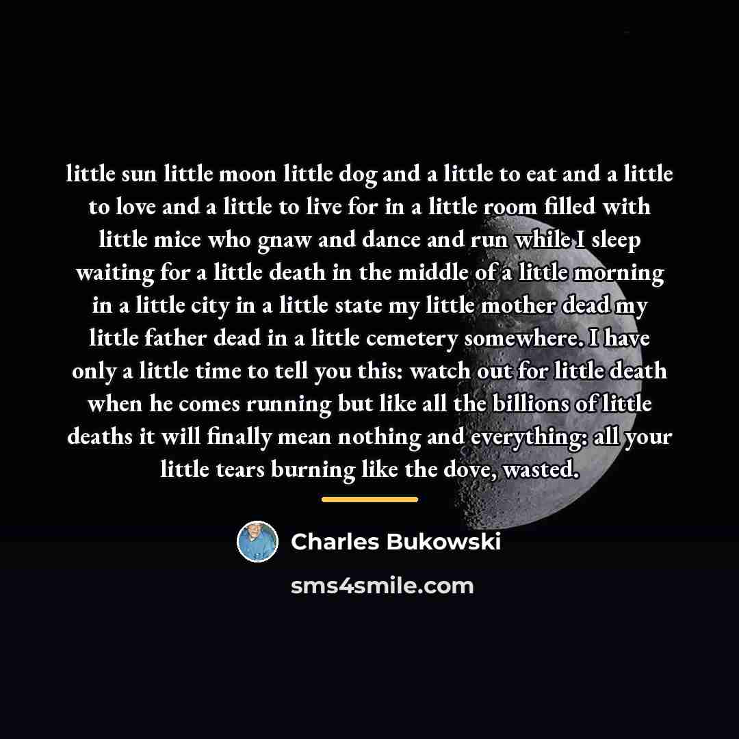 “little sun little moon little dog and a little to…” quote by Charles Bukowski