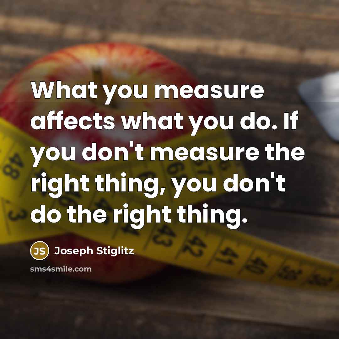 “What you measure affects what you do. If you don't…” quote by Joseph Stiglitz