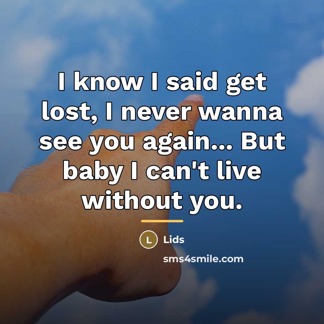 “I know I said get lost, I never wanna see…” quote by Lids