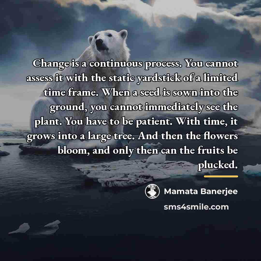 “Change is a continuous process. You cannot assess it with…” quote by Mamata Banerjee