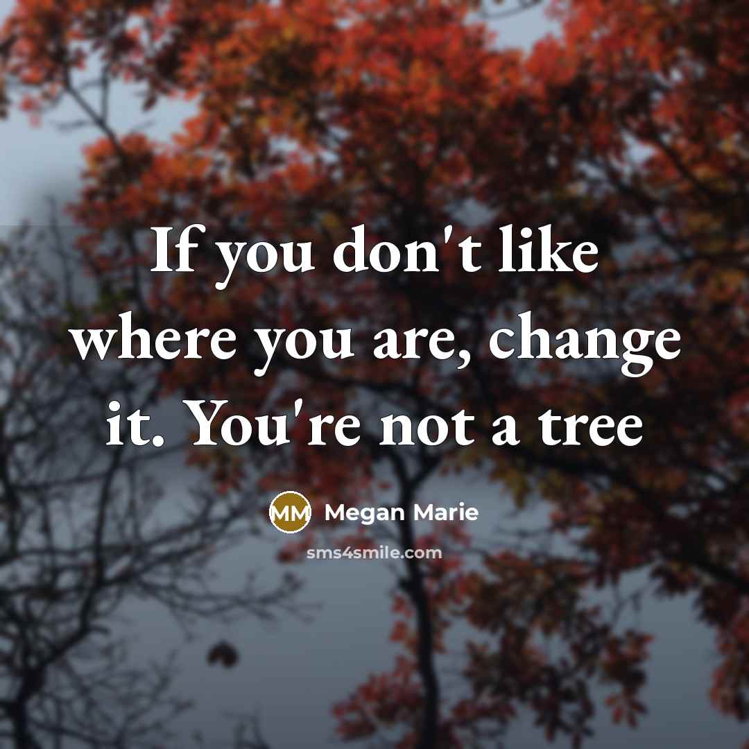 “If you don't like where you are, change it. You're…” quote by Megan Marie