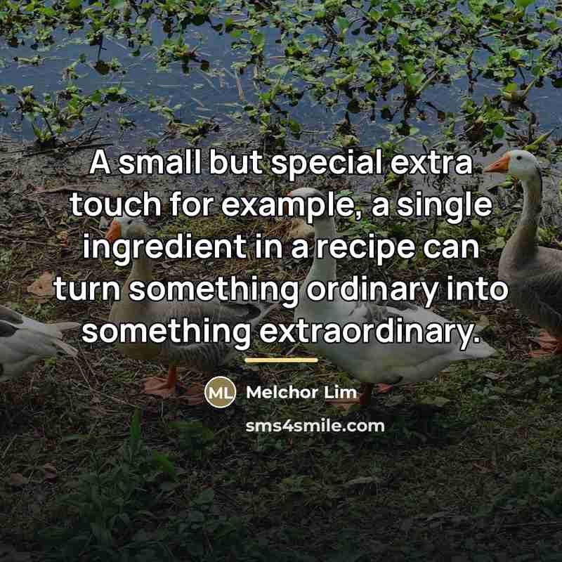 “A small but special extra touch for example, a single…” quote by Melchor Lim
