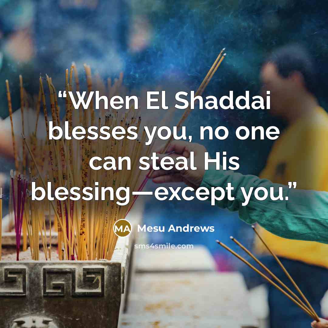 “When El Shaddai blesses you, no one can steal His blessing—except you.” quote by Mesu Andrews