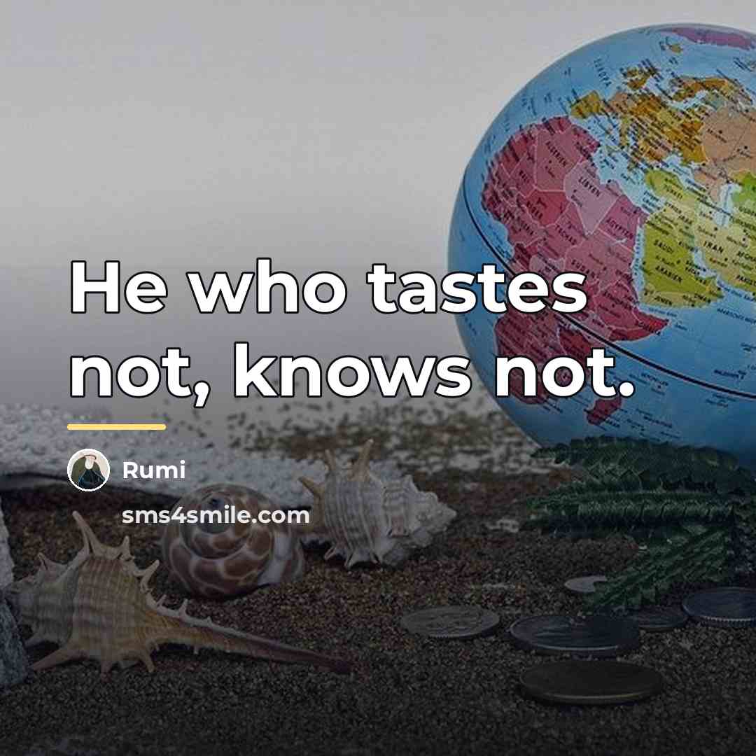 “He who tastes not, knows not.…” quote by Rumi