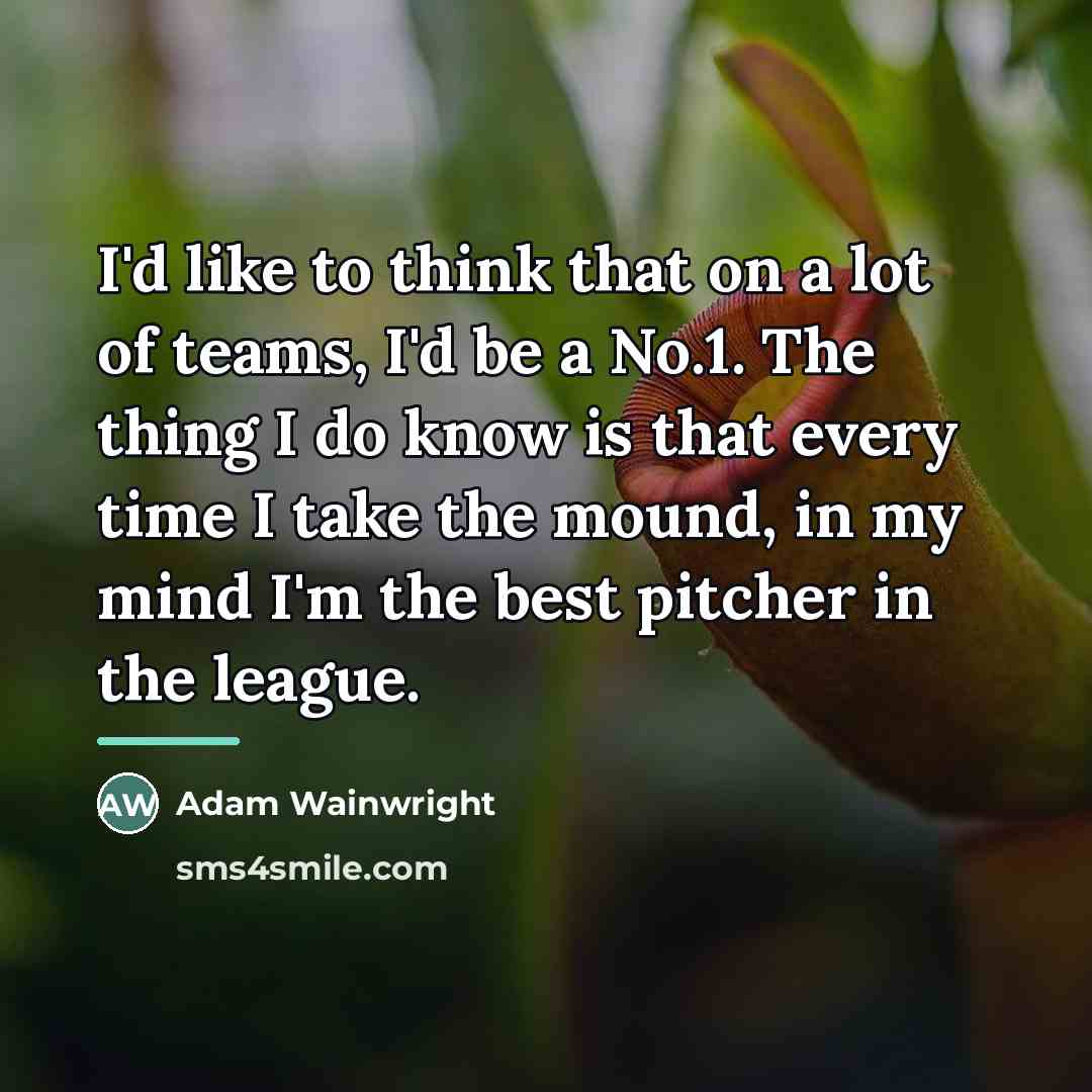 “I'd like to think that on a lot of teams,…” quote by Adam Wainwright