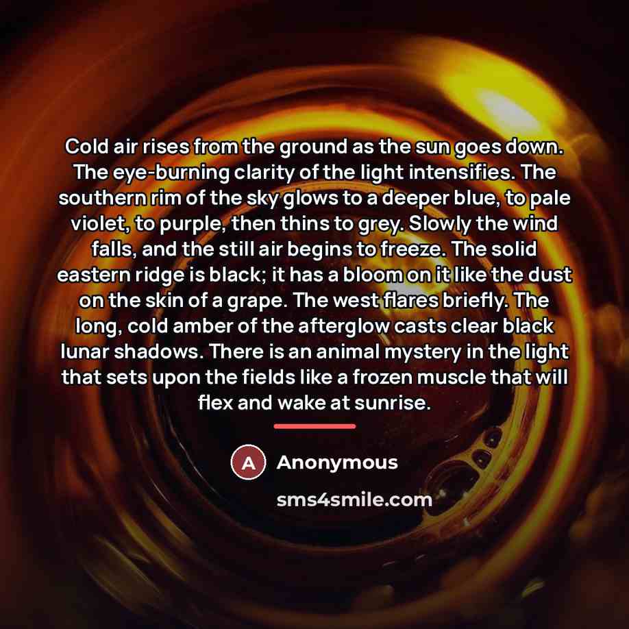 “Cold air rises from the ground as the sun goes…” quote by Anonymous