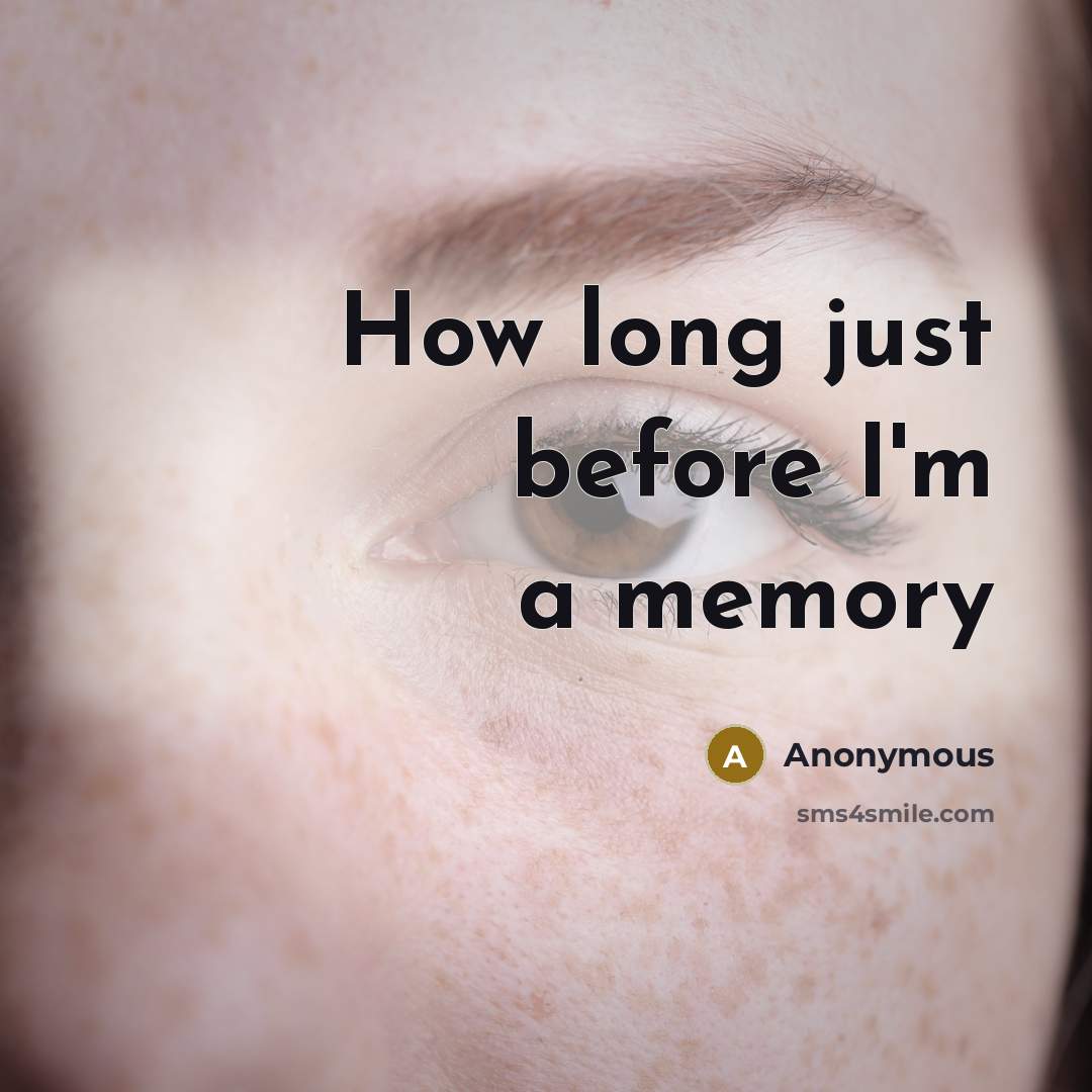 “How long just before I'm a memory” quote by Anonymous