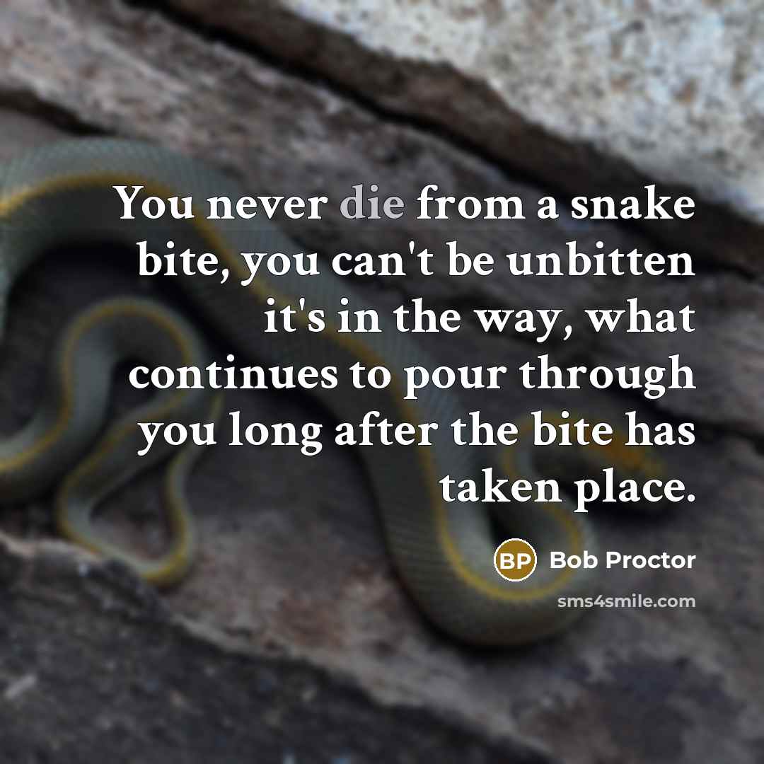 “You never die from a snake bite, you can't be unbitten it's in the way, what continues to pour through you long after the bite has taken place.” quote by Bob Proctor