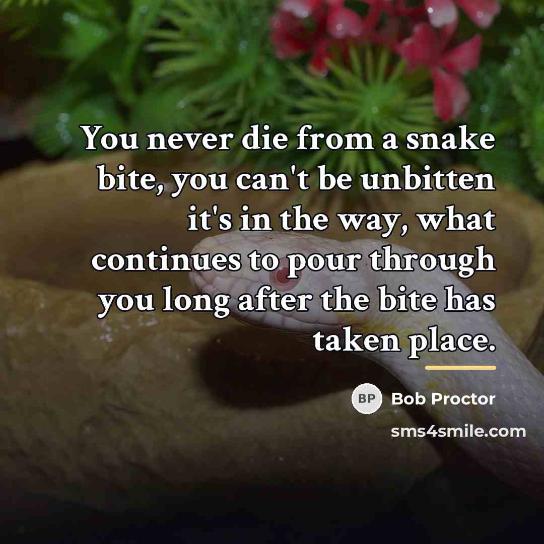 “You never die from a snake bite, you can't be…” quote by Bob Proctor