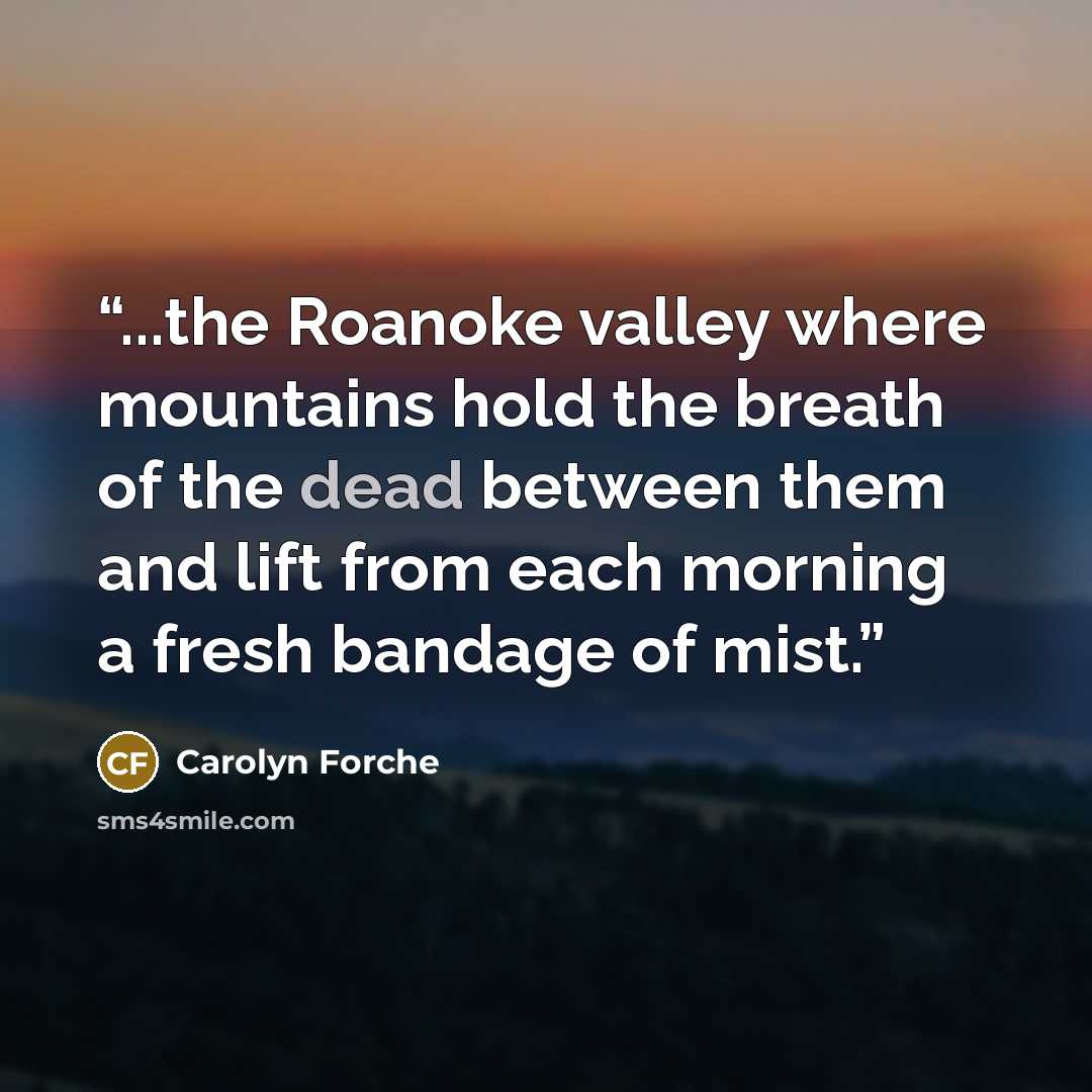 “...the Roanoke valley where mountains hold the breath of the dead between them and lift from each morning a fresh bandage of mist.” quote by Carolyn Forché