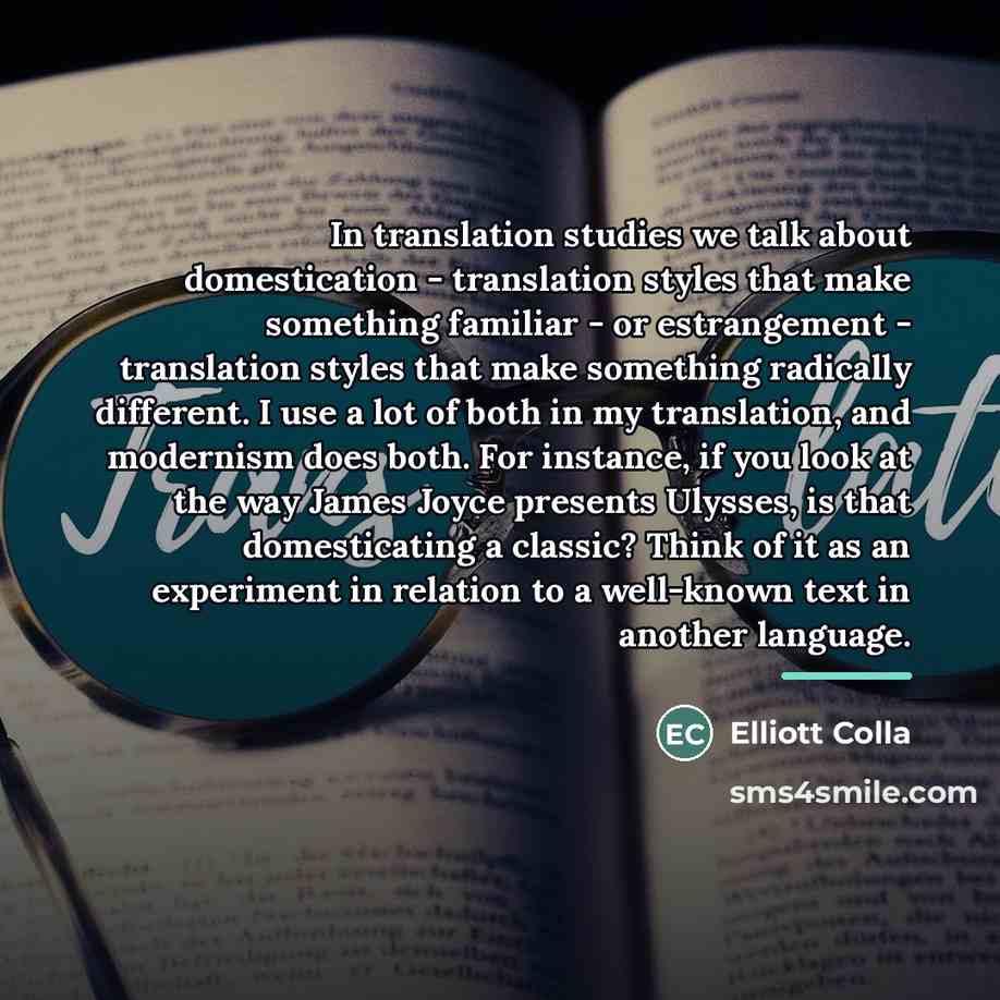 “In translation studies we talk about domestication - translation styles…” quote by Elliott Colla