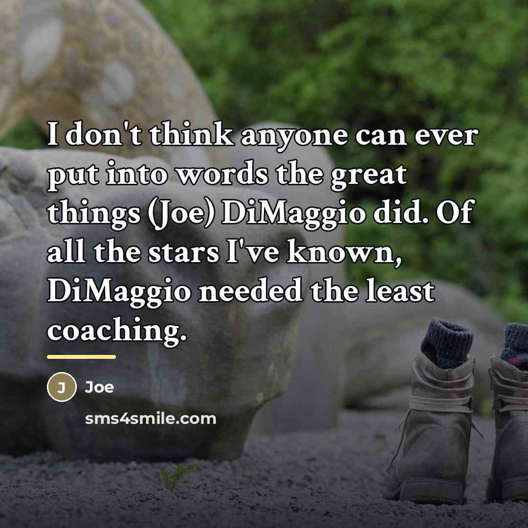 “I don't think anyone can ever put into words the…” quote by Joe
