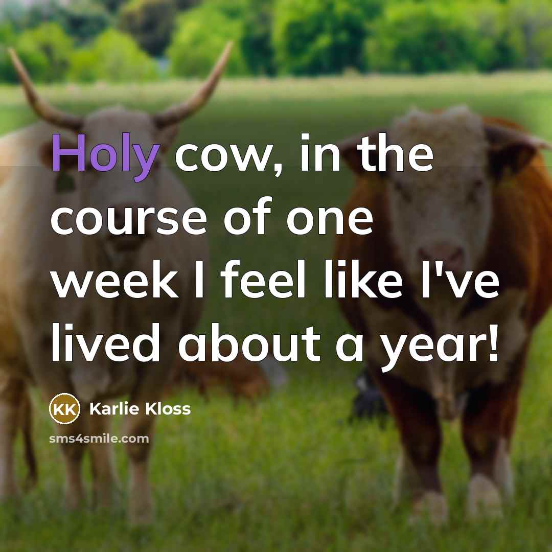 “Holy cow, in the course of one week I feel…” quote by Karlie Kloss