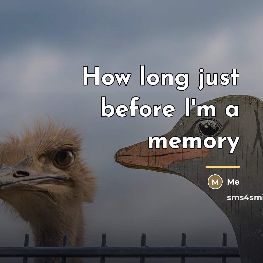 “How long just before I'm a memory…” quote by Me