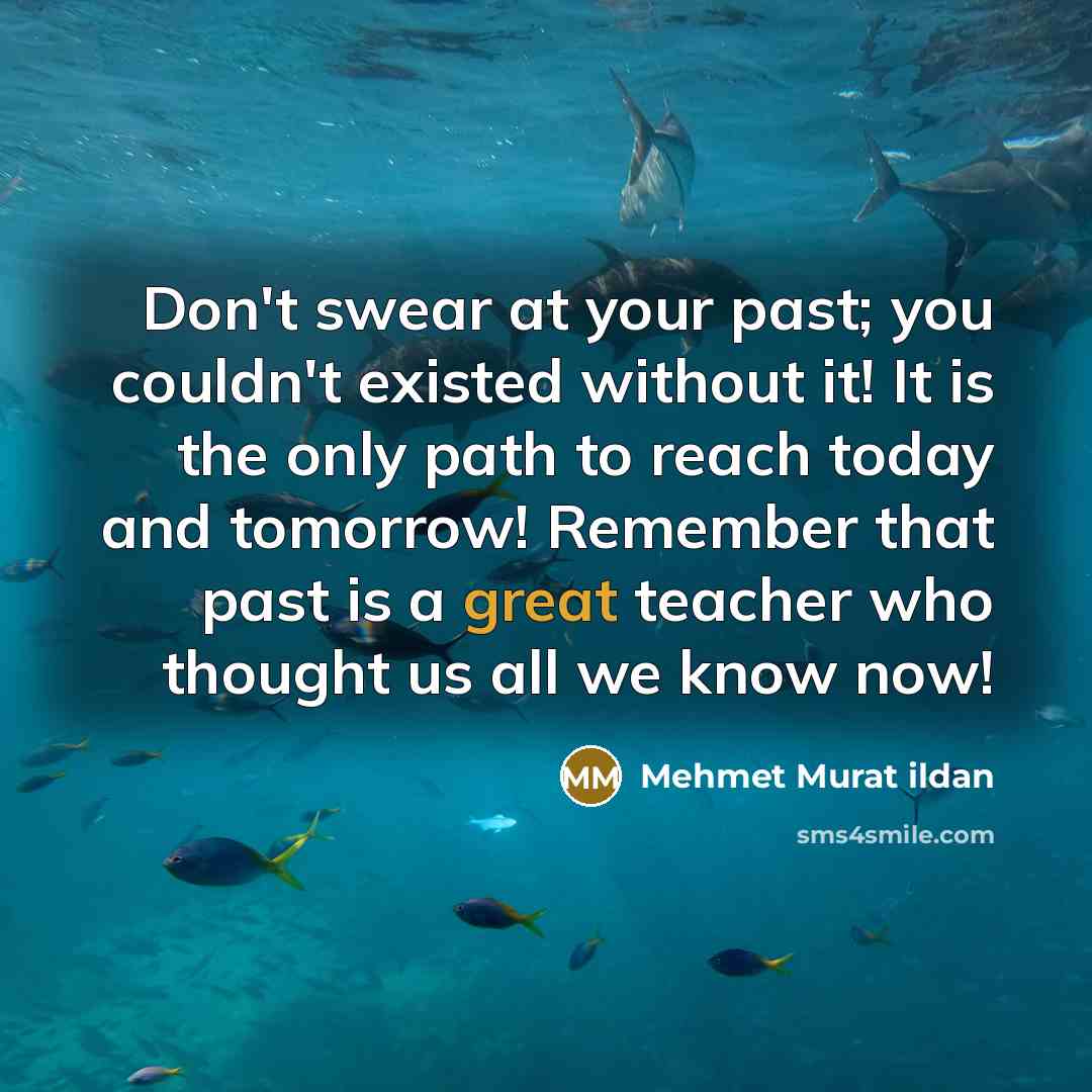 “Don't swear at your past; you couldn't existed without it!…” quote by Mehmet Murat Ildan
