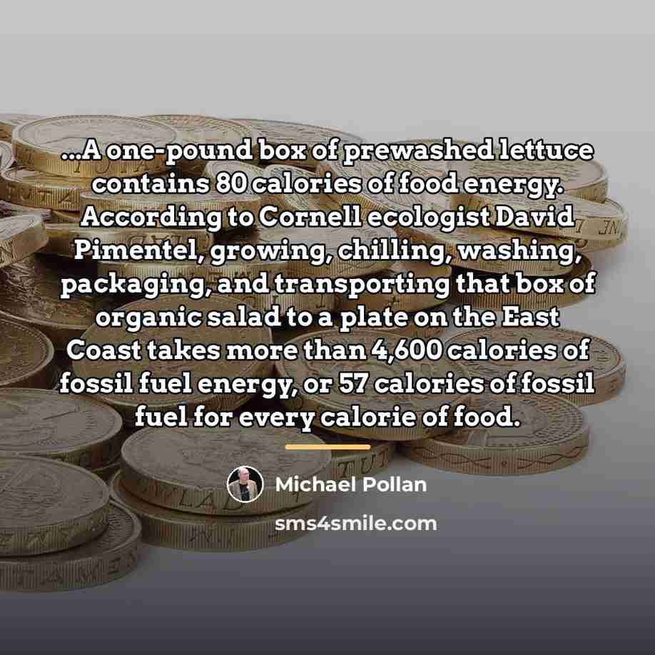 “...A one-pound box of prewashed lettuce contains 80 calories of…” quote by Michael Pollan