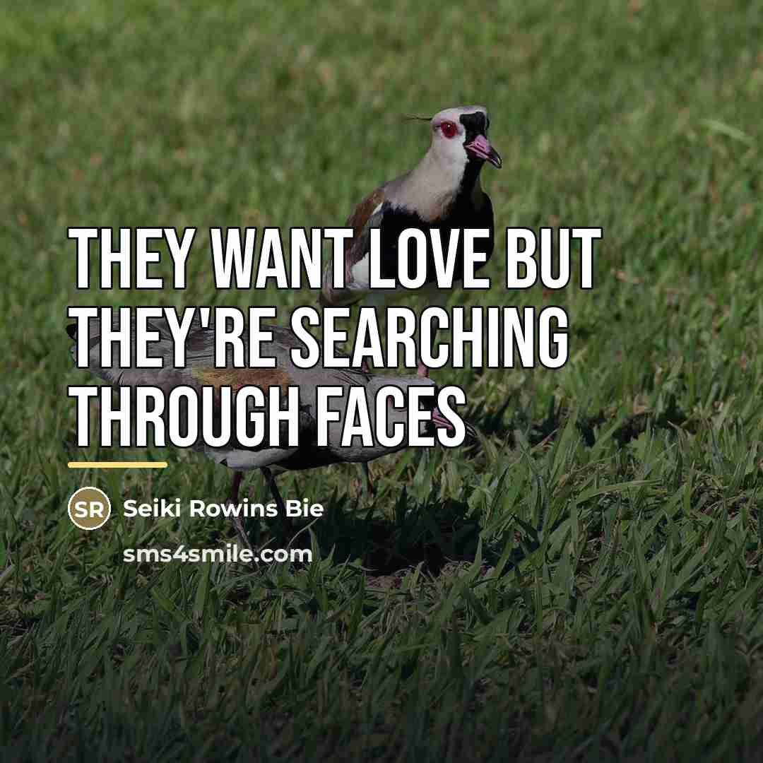 “They want love but they're searching through faces…” quote by Seiki Rowins Bie