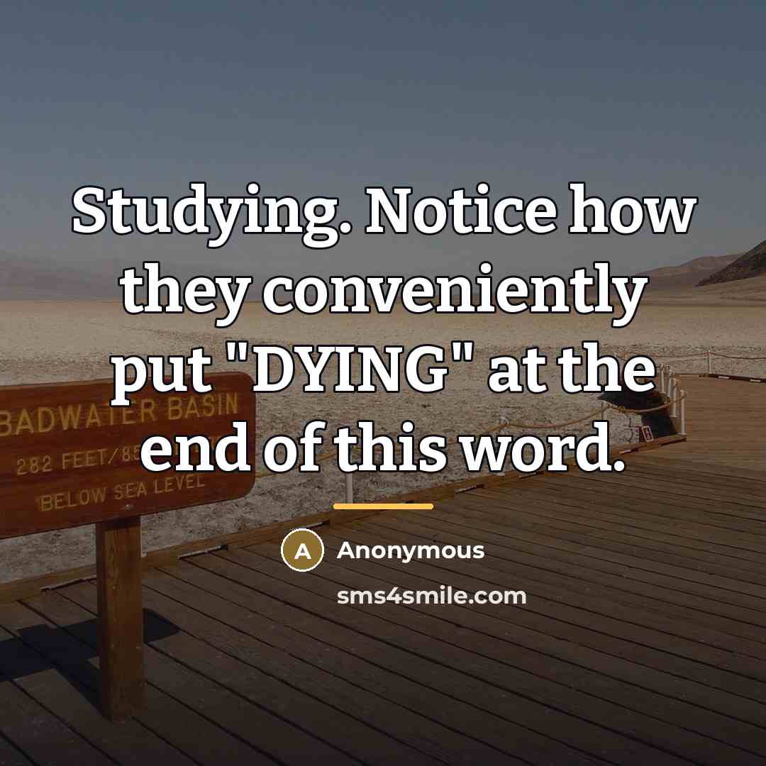 “Studying. Notice how they conveniently put "DYING" at the end…” quote by Anonymous
