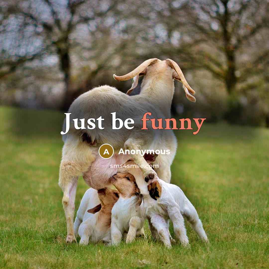 “Just be funny” quote by Anonymous
