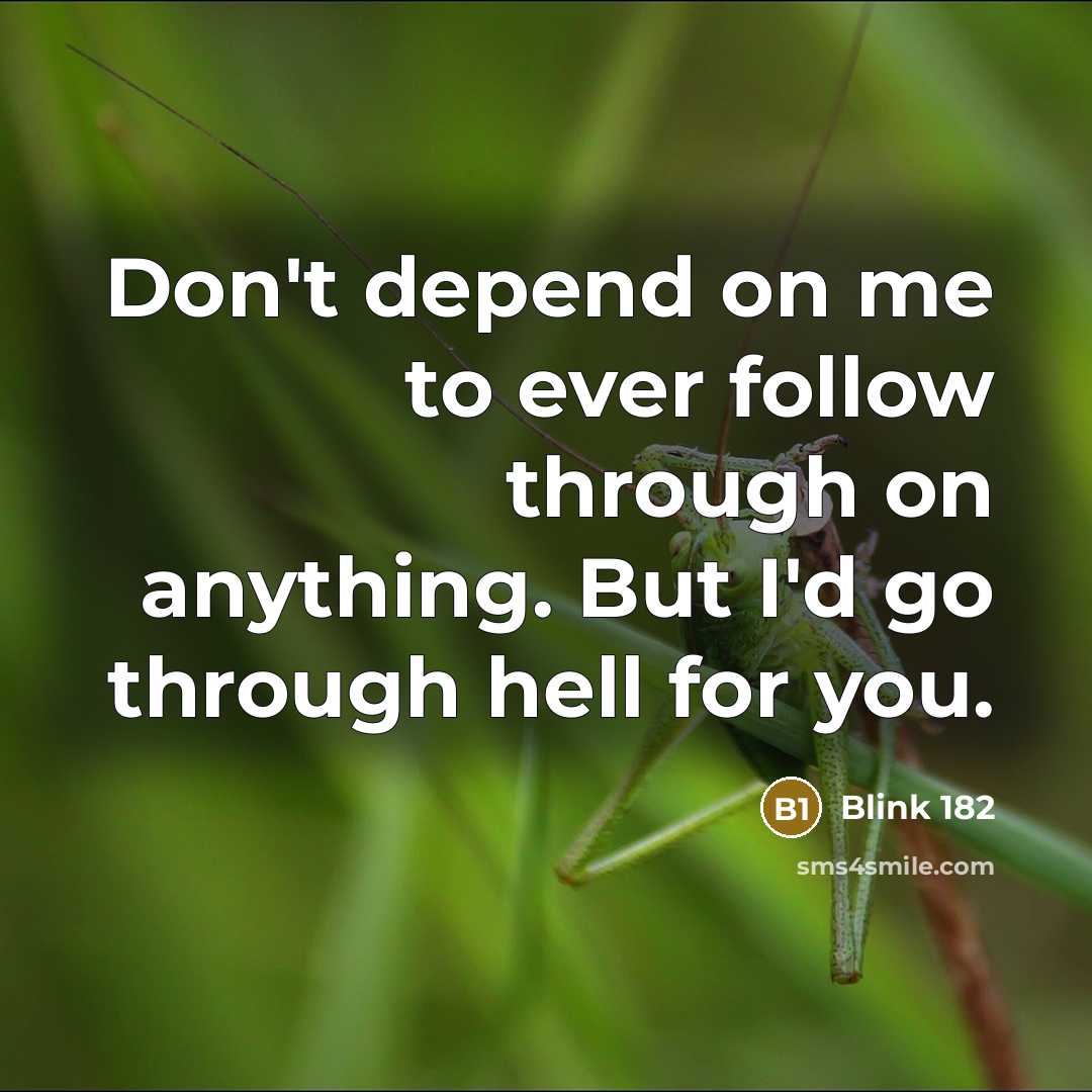 “Don't depend on me to ever follow through on anything. But I'd go through hell for you.” quote by Blink 182