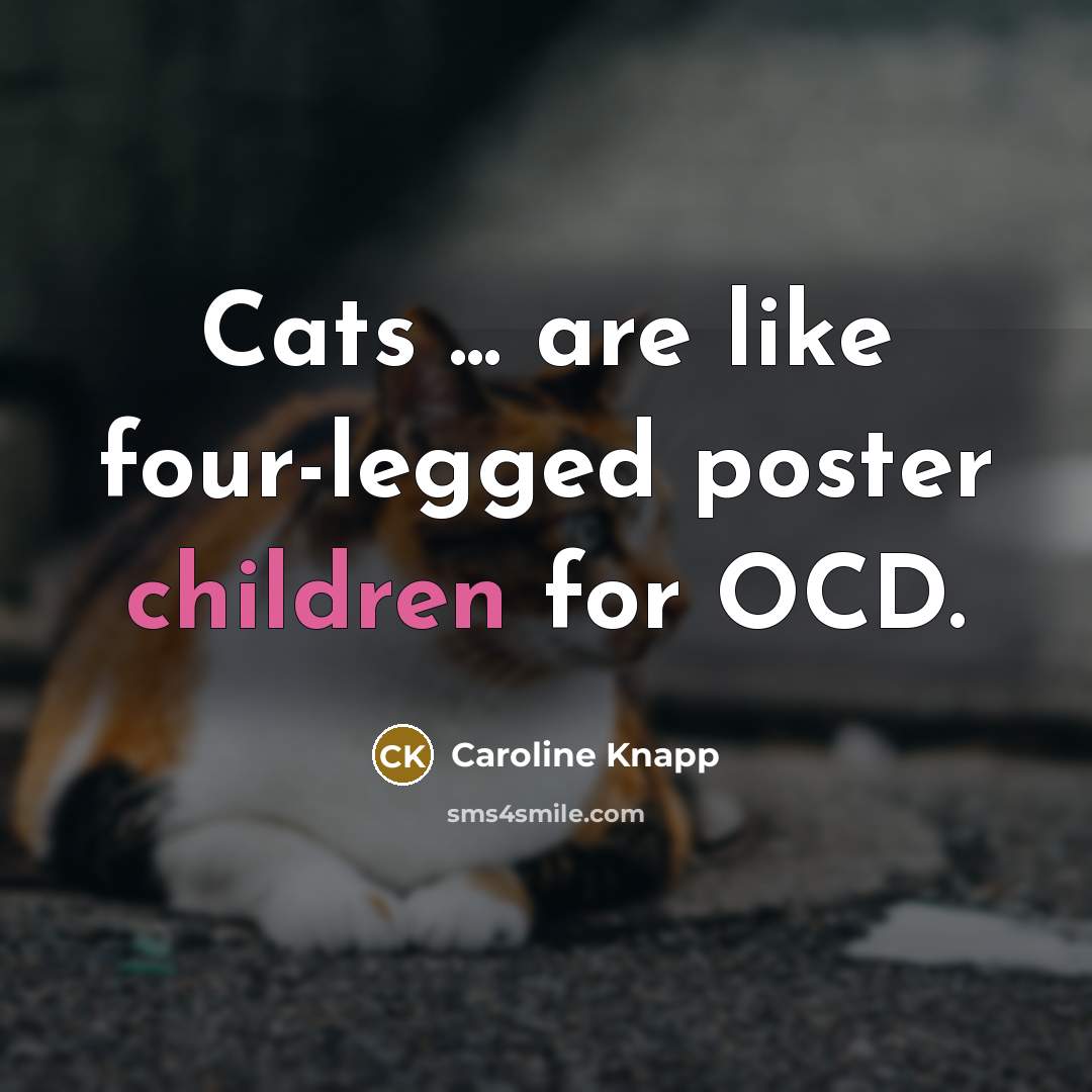 “Cats ... are like four-legged poster children for OCD.…” quote by Caroline Knapp