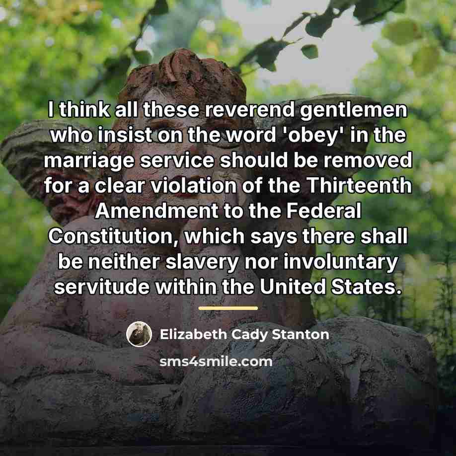 “I think all these reverend gentlemen who insist on the…” quote by Elizabeth Cady Stanton