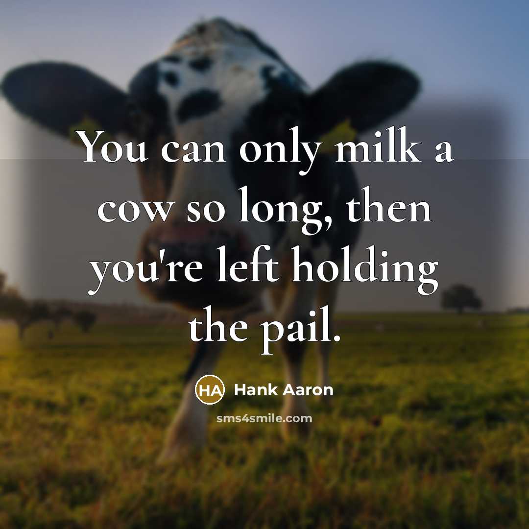 “You can only milk a cow so long, then you're…” quote by Hank Aaron