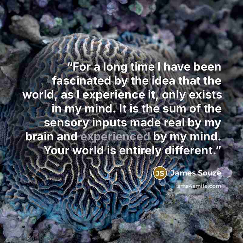 “For a long time I have been fascinated by the idea that the world, as I experience it, only exists in my mind. It is the sum of the sensory inputs made real by my brain and experienced by my mind. Your world is entirely different.” quote by James Souze