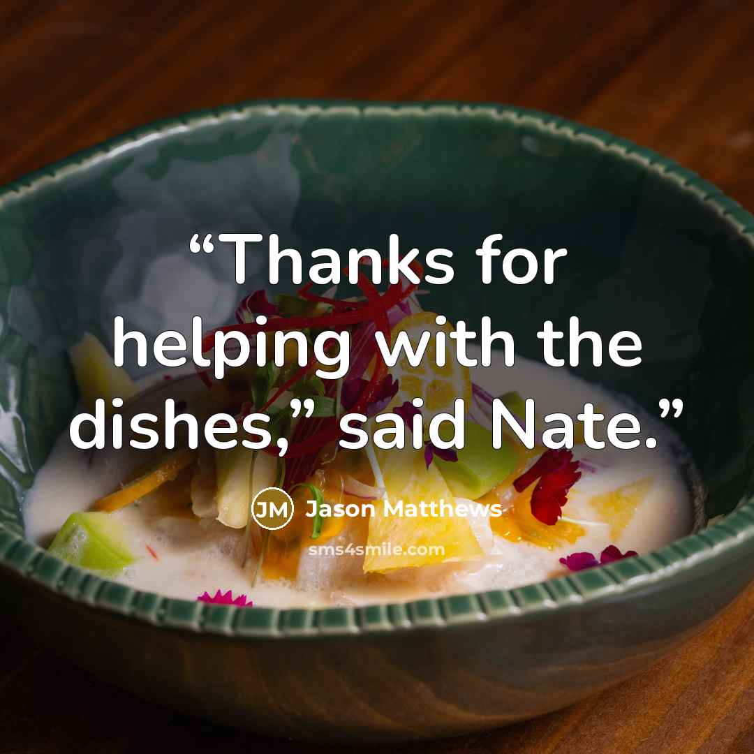 “Thanks for helping with the dishes,” said Nate.” quote by Jason Matthews