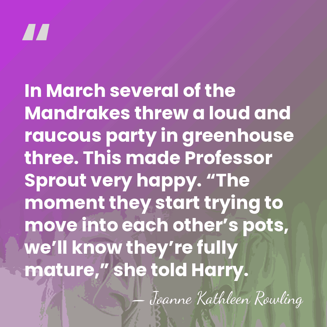 In March several of the Mandrakes threw a loud and raucous party&hellip; - Joanne Kathleen Rowling