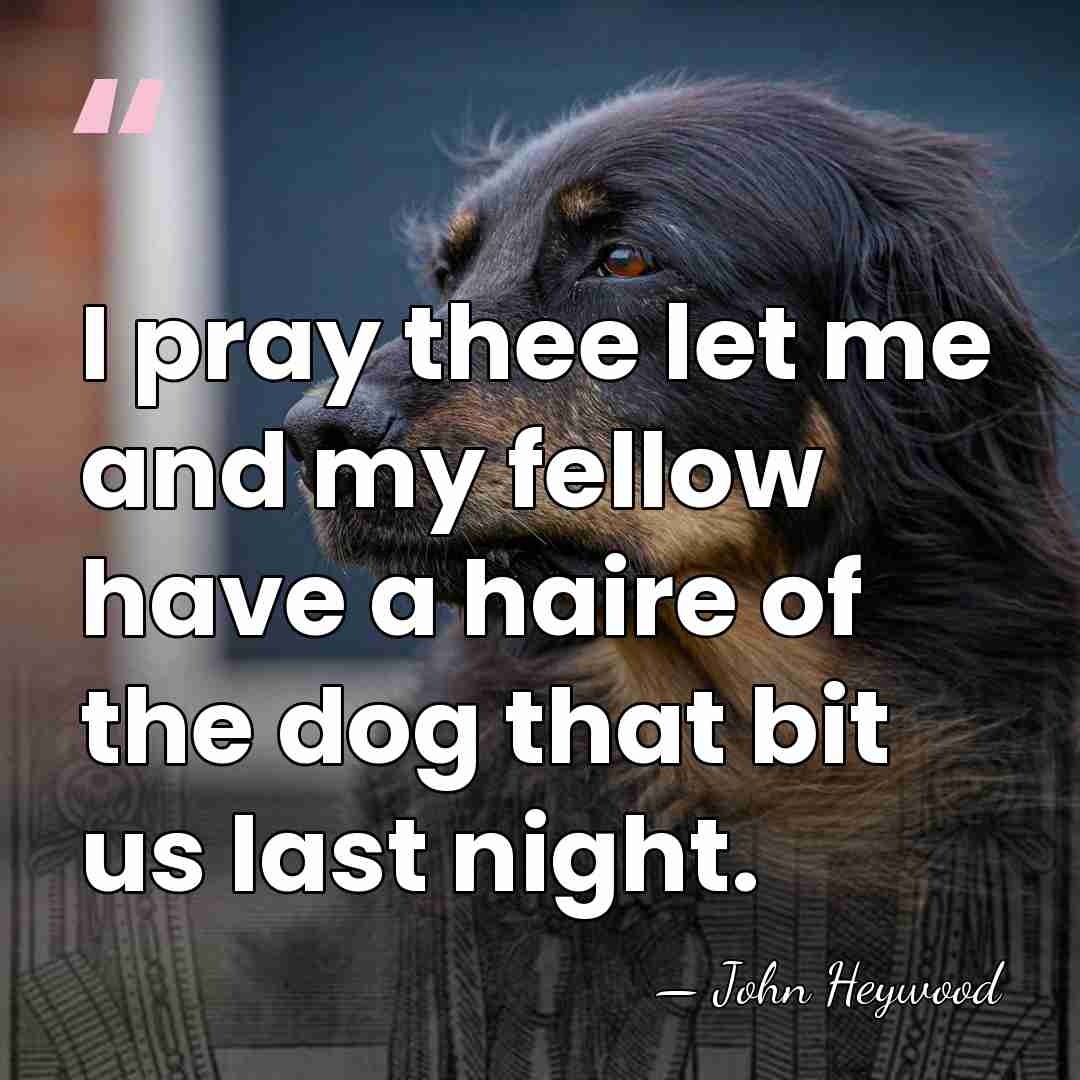 I pray thee let me and my fellow have a haire of&hellip; - John Heywood