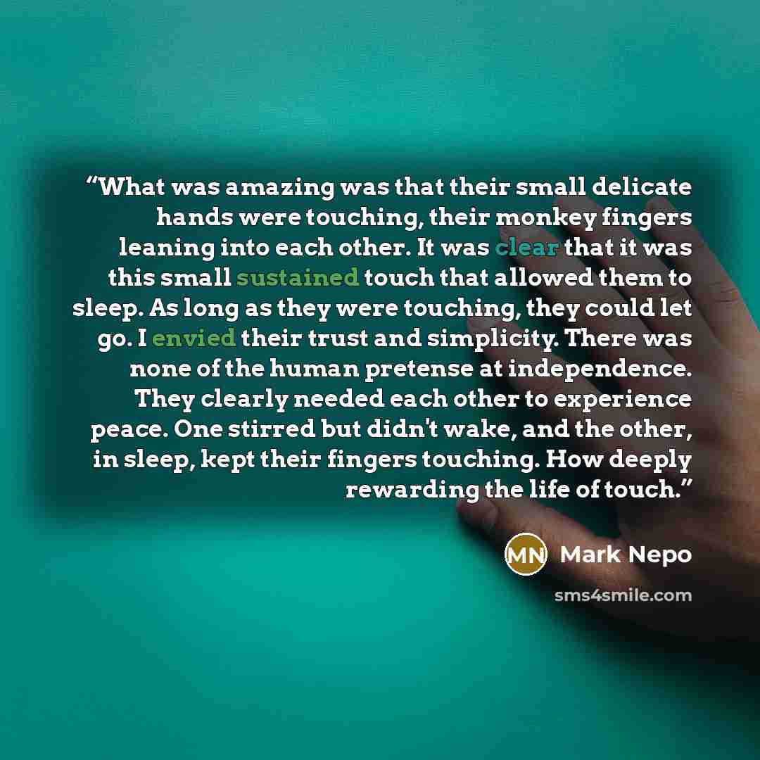 “What was amazing was that their small delicate hands were touching, their monkey fingers leaning into each other. It was clear that it was this small sustained touch that allowed them to sleep. As long as they were touching, they could let go. I envied their trust and simplicity. There was none of…” quote by Mark Nepo