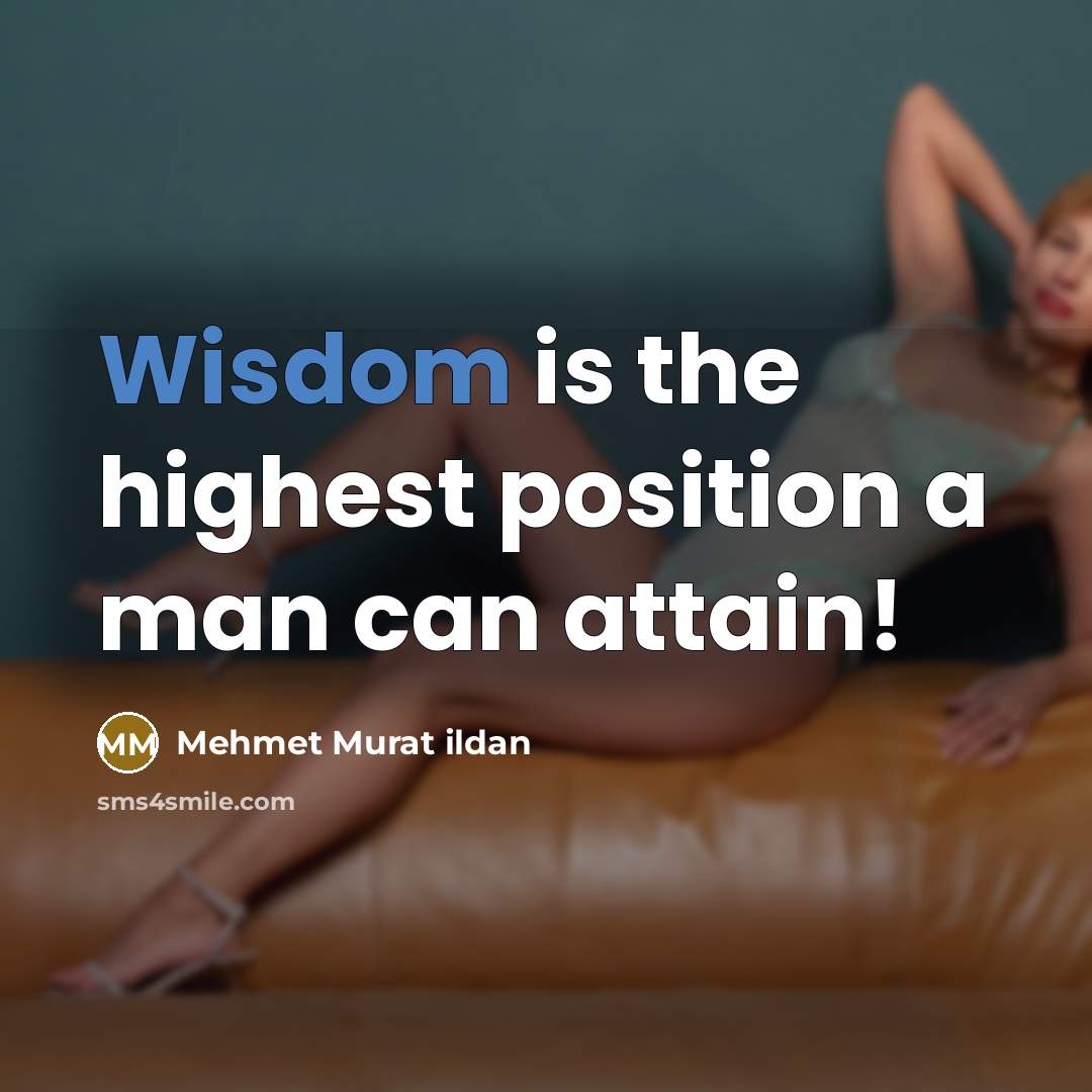 “Wisdom is the highest position a man can attain!…” quote by Mehmet Murat Ildan