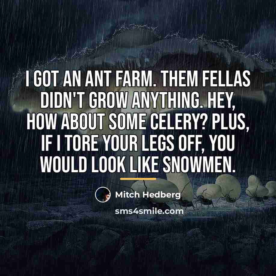“I got an ant farm. Them fellas didn't grow anything.…” quote by Mitch Hedberg