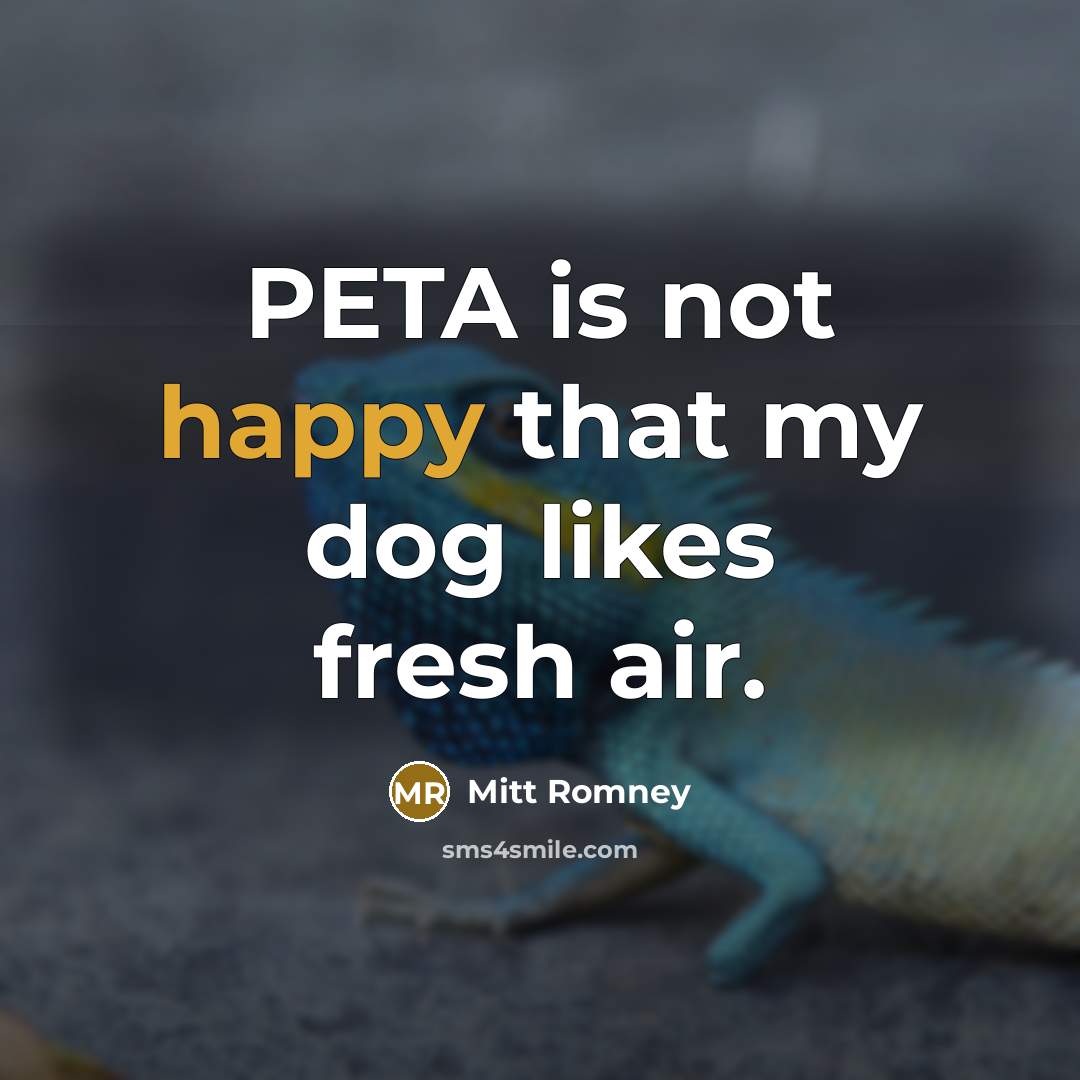 “PETA is not happy that my dog likes fresh air.…” quote by Mitt Romney