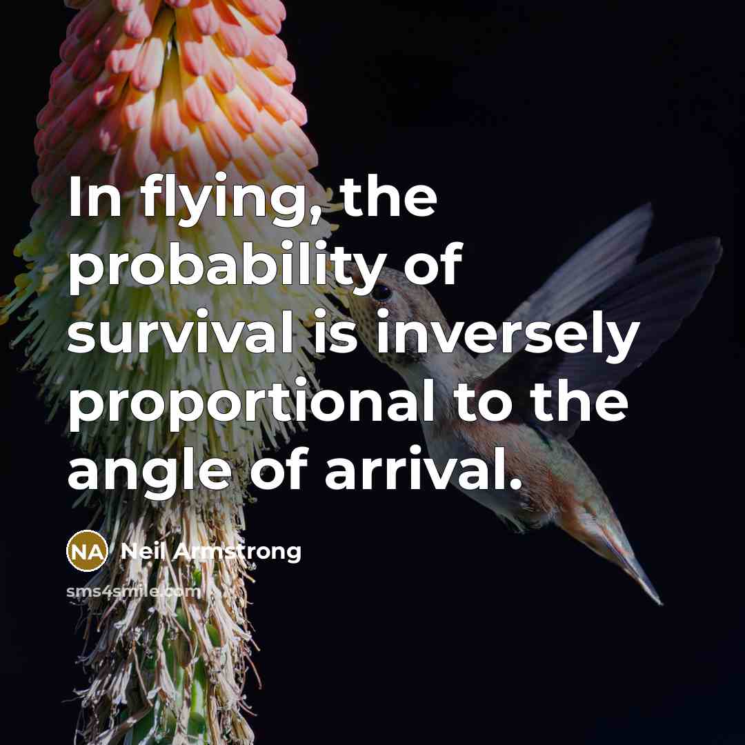 “In flying, the probability of survival is inversely proportional to…” quote by Neil Armstrong