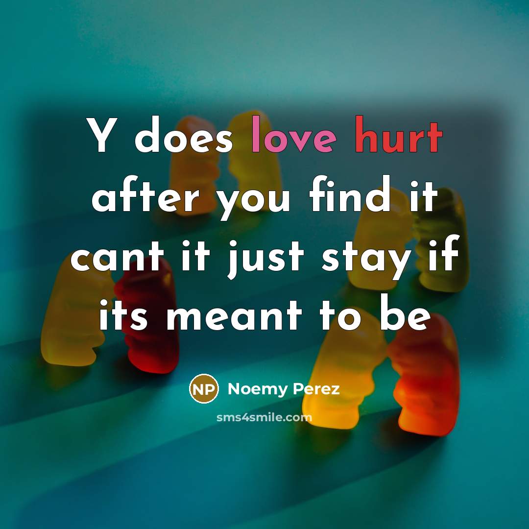 “Y does love hurt after you find it cant it just stay if its meant to be” quote by Noemy Perez