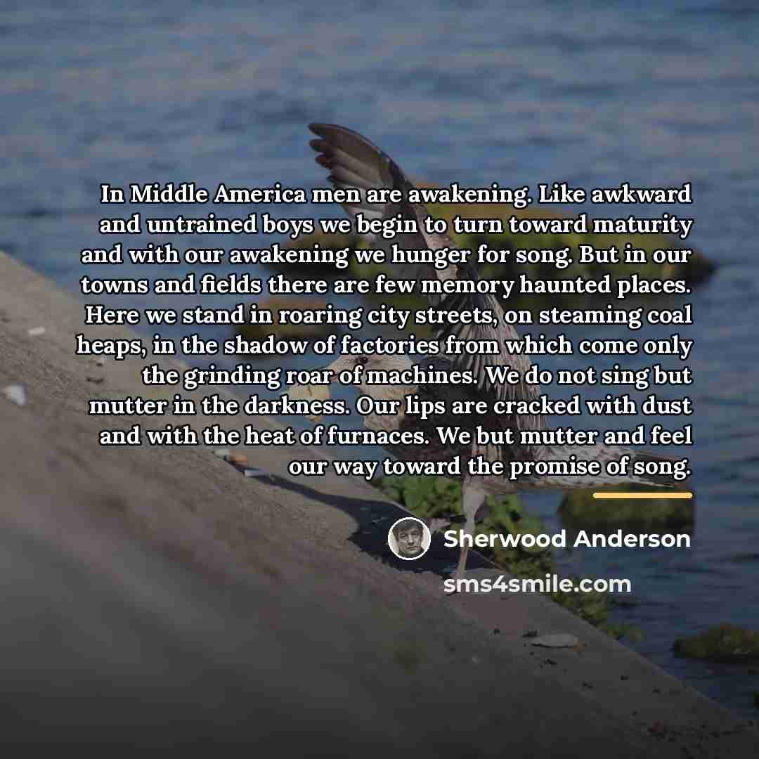 “In Middle America men are awakening. Like awkward and untrained…” quote by Sherwood Anderson