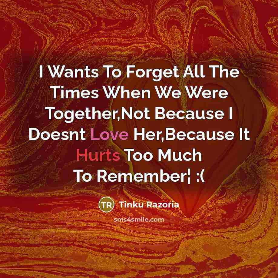 “I Wants To Forget All The Times When We Were Together,Not Because I Doesnt Love Her,Because It Hurts Too Much To Remember¦ :(” quote by Tinku Razoria