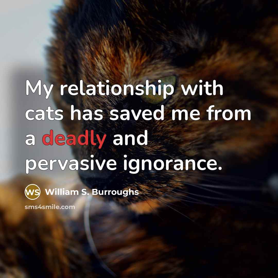 “My relationship with cats has saved me from a deadly…” quote by William S. Burroughs