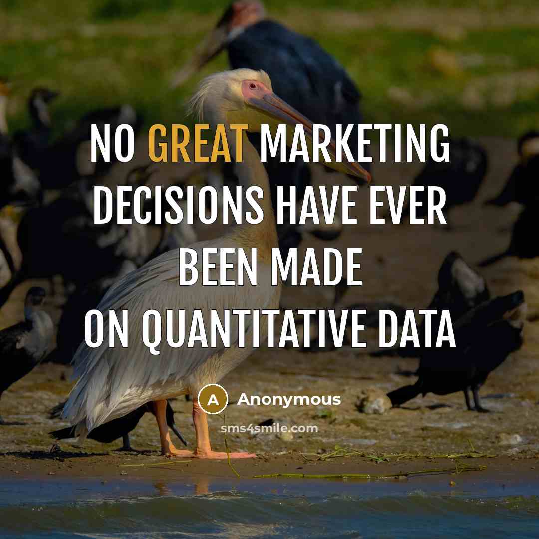 “No great marketing decisions have ever been made on quantitative data” quote by Anonymous
