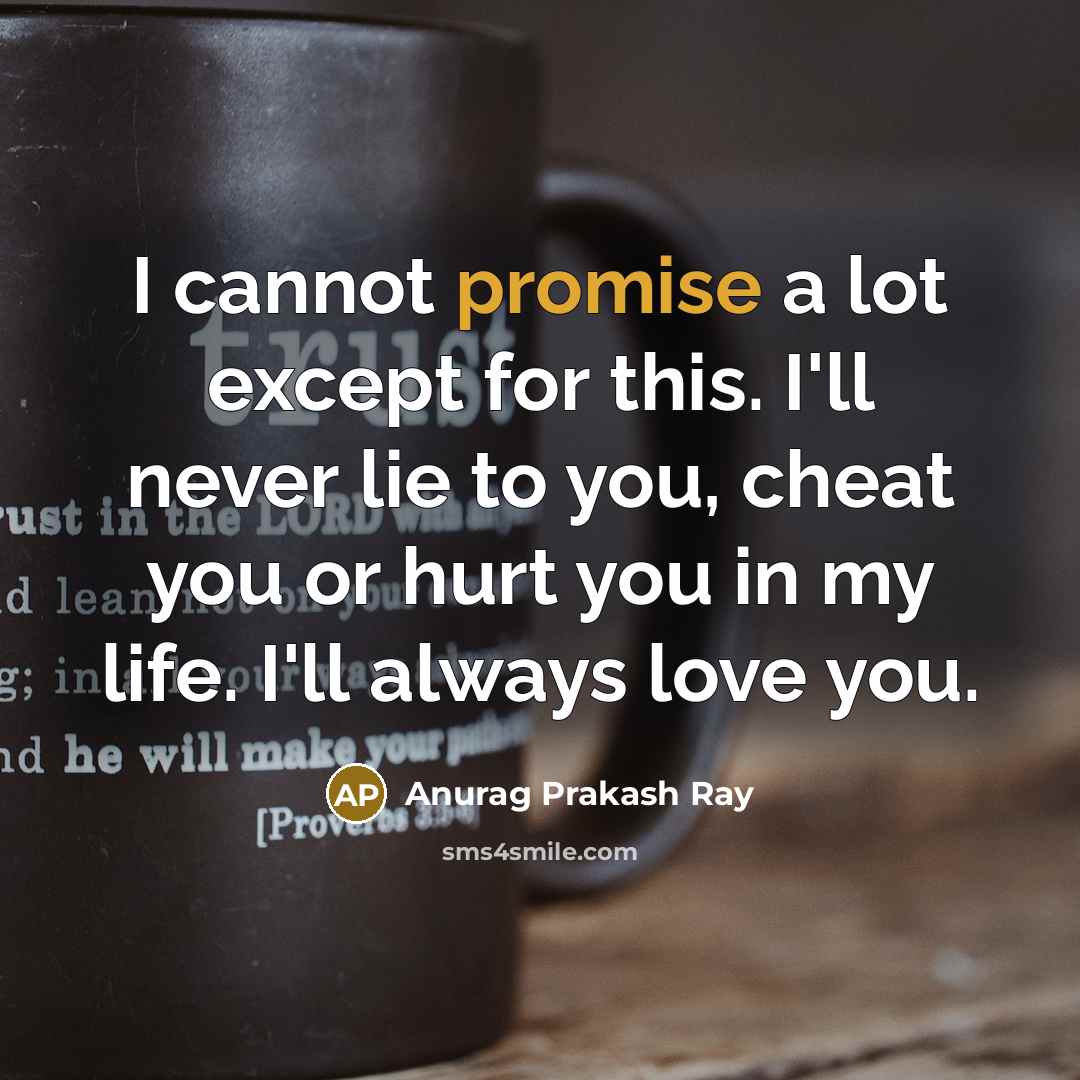 “I cannot promise a lot except for this. I'll never…” quote by Anurag Prakash Ray