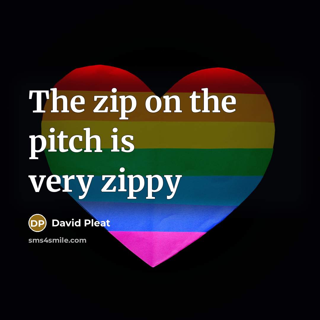 “The zip on the pitch is very zippy…” quote by David Pleat
