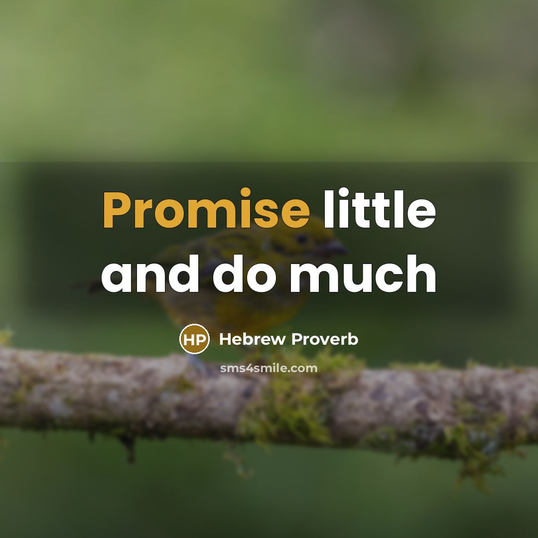“Promise little and do much…” quote by Hebrew Proverb