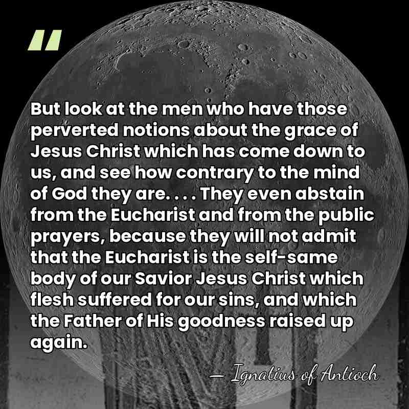 But look at the men who have those perverted notions about the&hellip; - Ignatius of Antioch