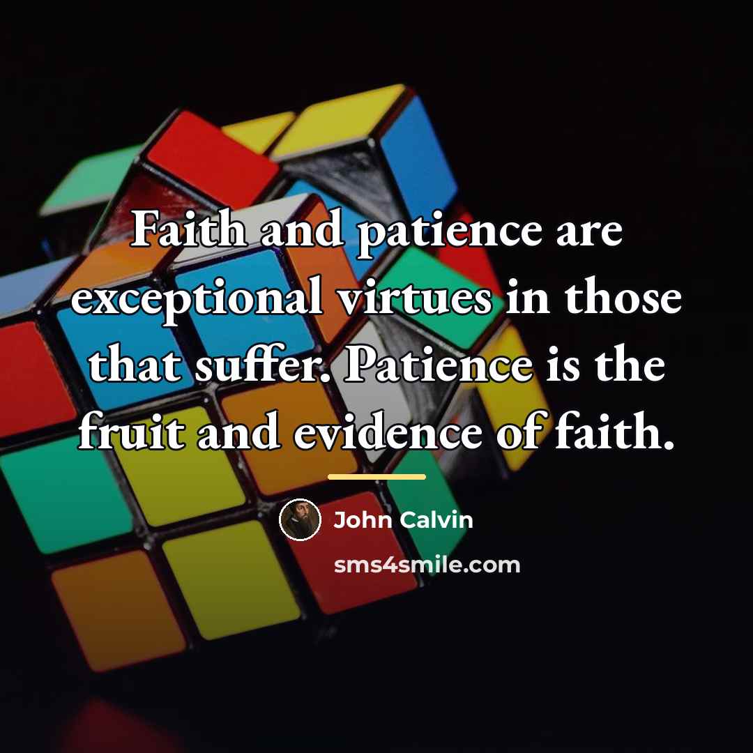 “Faith and patience are exceptional virtues in those that suffer.…” quote by John Calvin
