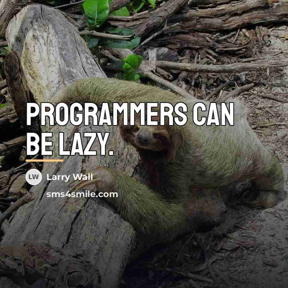 “Programmers can be lazy.…” quote by Larry Wall