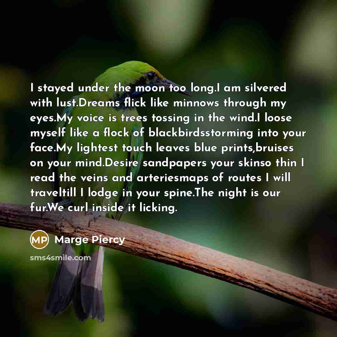“I stayed under the moon too long.I am silvered with…” quote by Marge Piercy