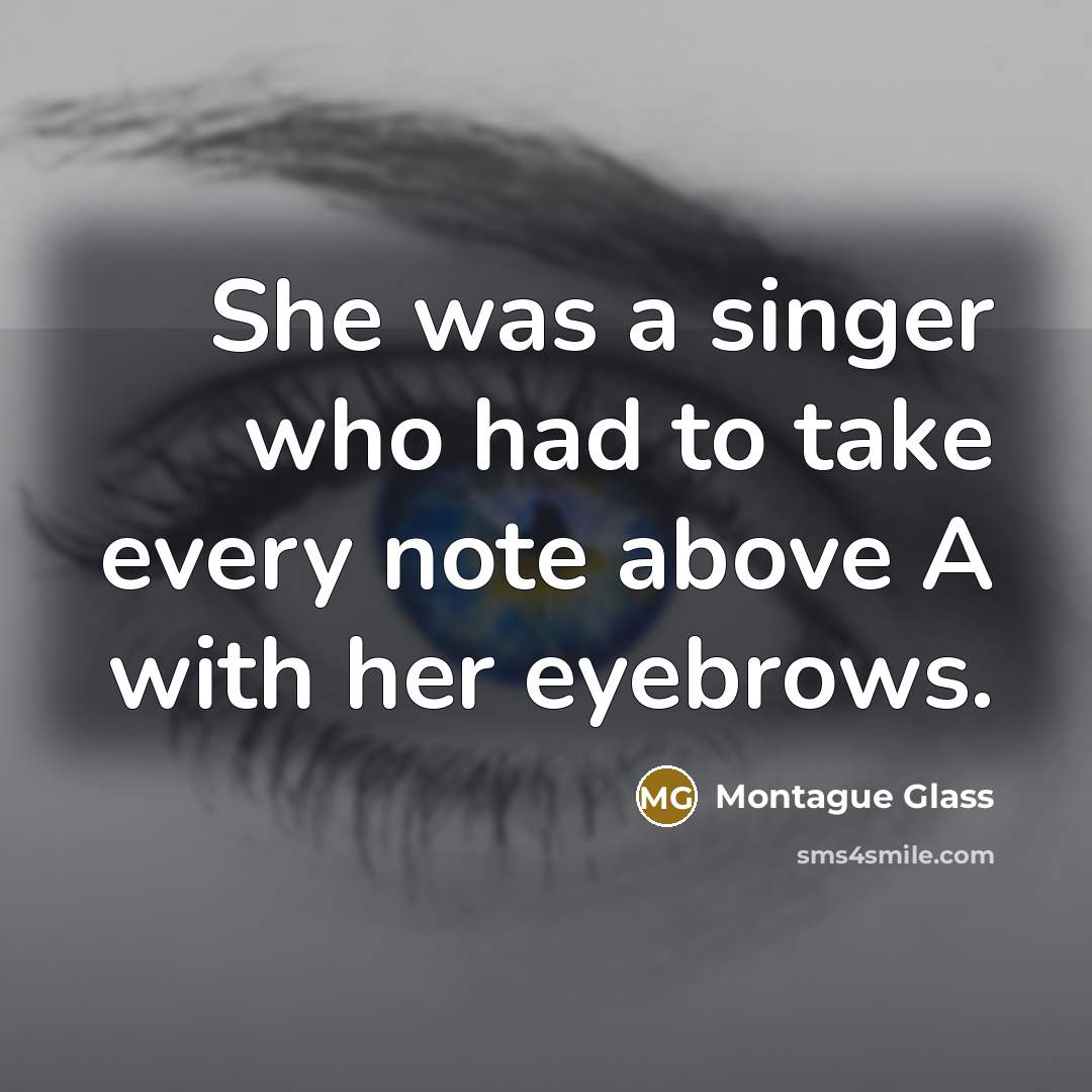 “She was a singer who had to take every note above A with her eyebrows.” quote by Montague Glass